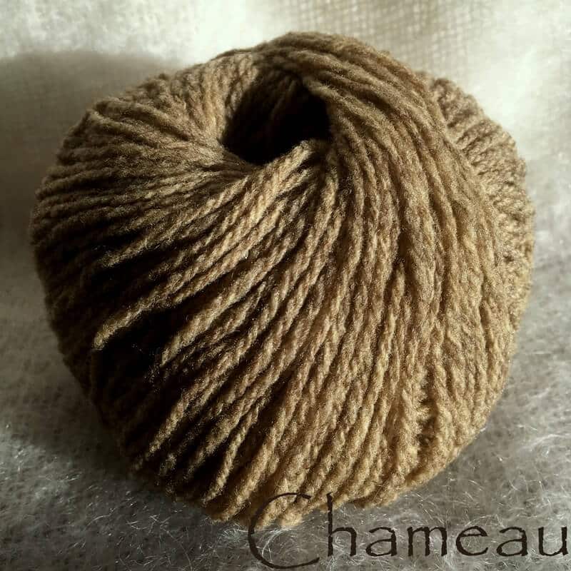 Chameau-24