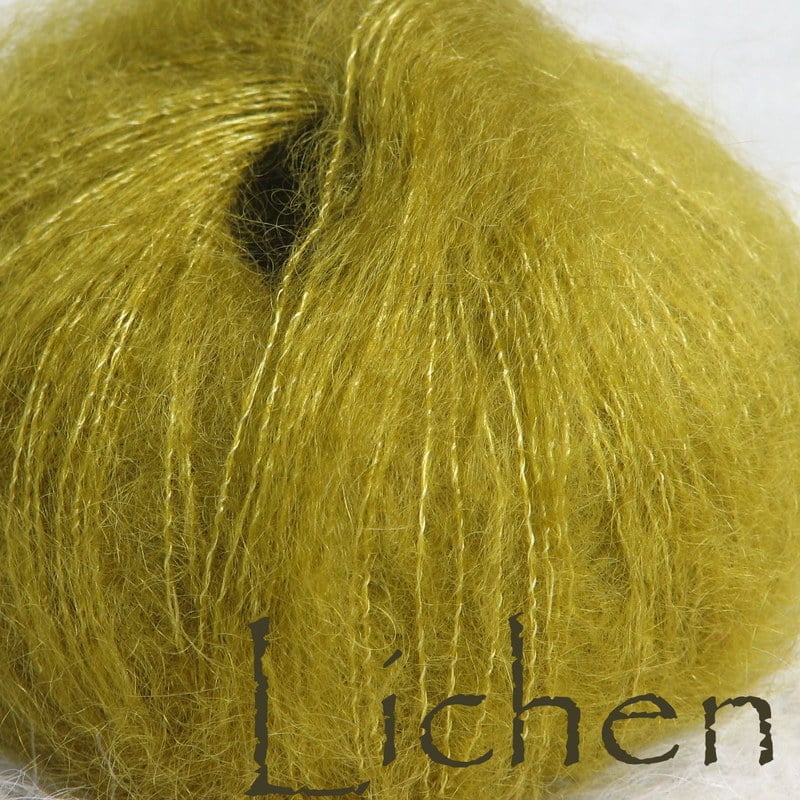 Lichen-P24