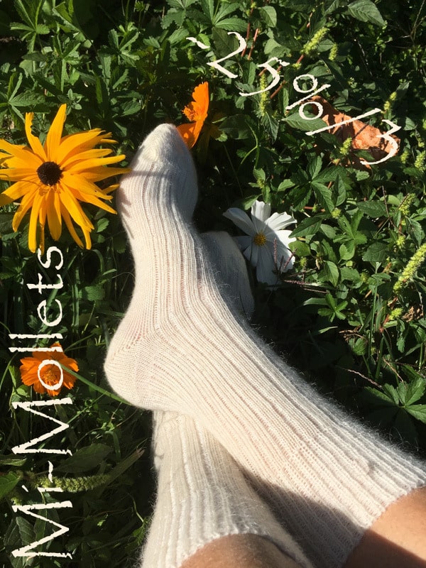 chaussettes1