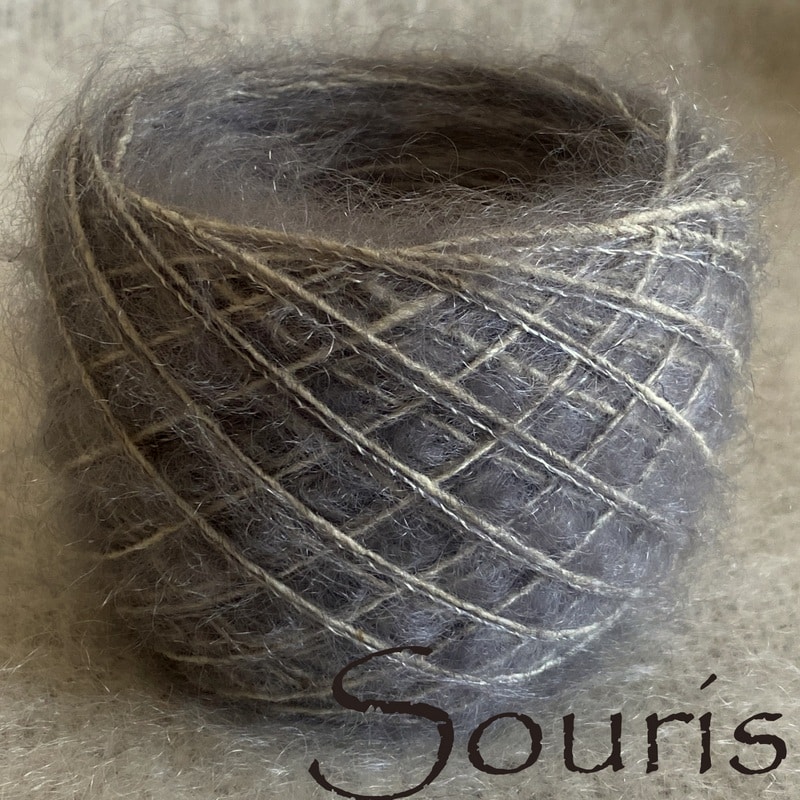 Souris_Grège-P24