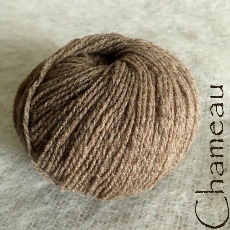 Chameau-24