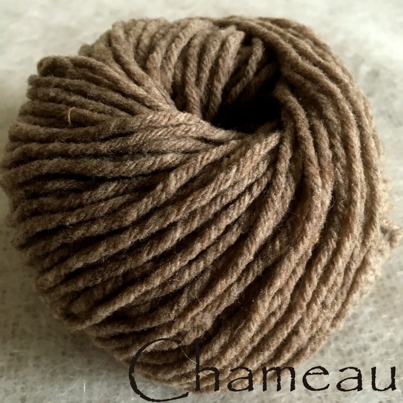 Chameau-24
