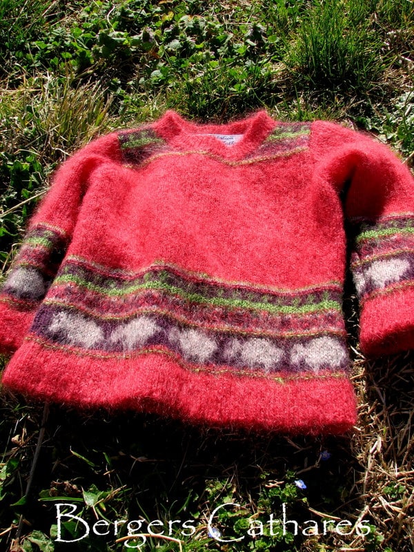pull_moutons_20090315_31