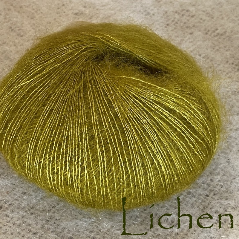 Lichen-P24