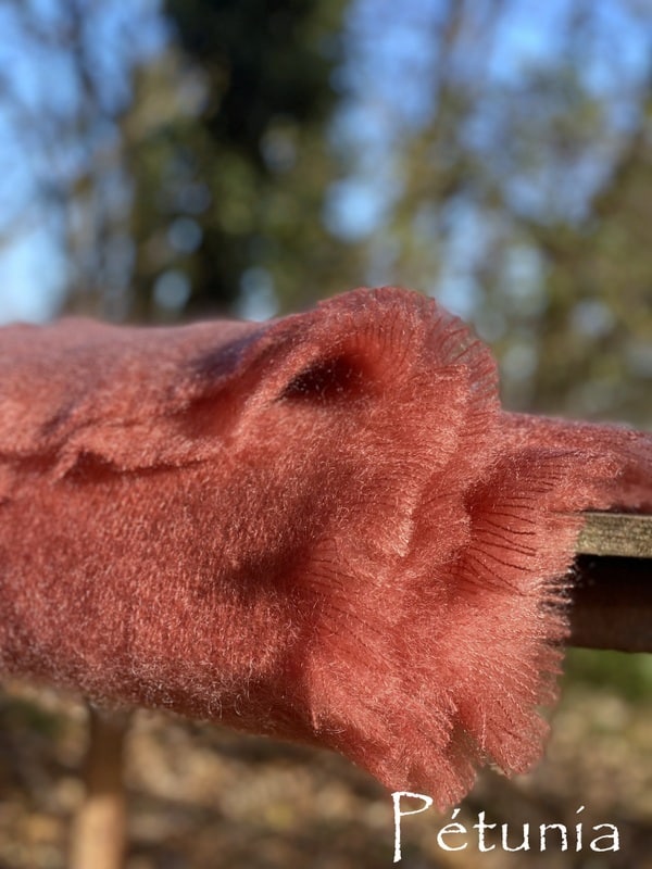 Pétunia