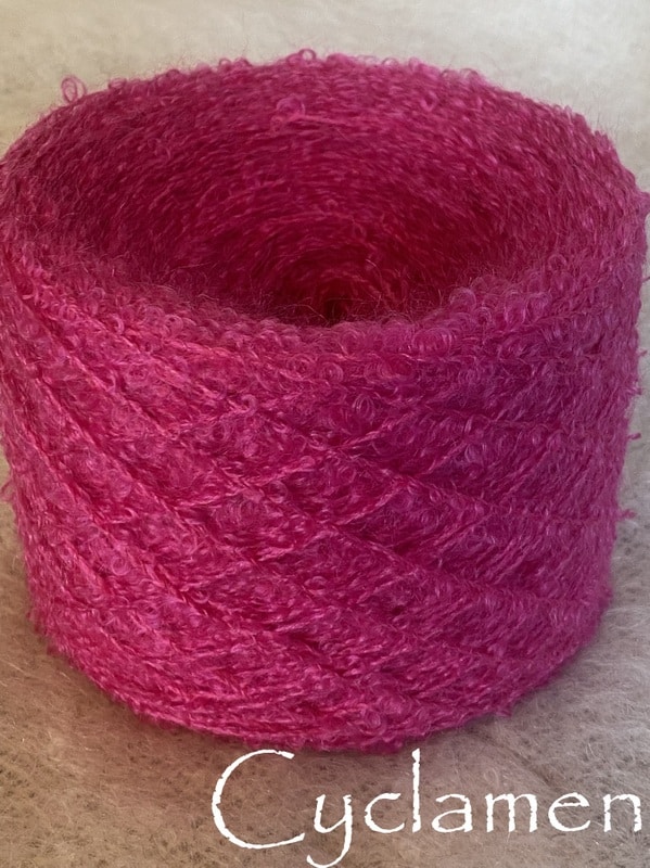 Cyclamen