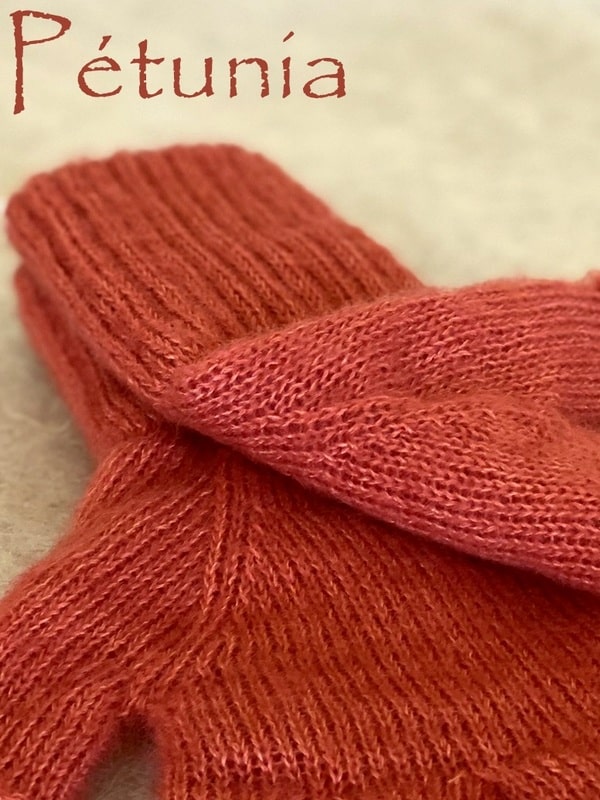 Pétunia